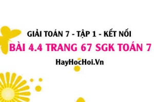 Giải bài 4.4 trang 67 Toán 7 Tập 1 SGK Kết nối tri thức